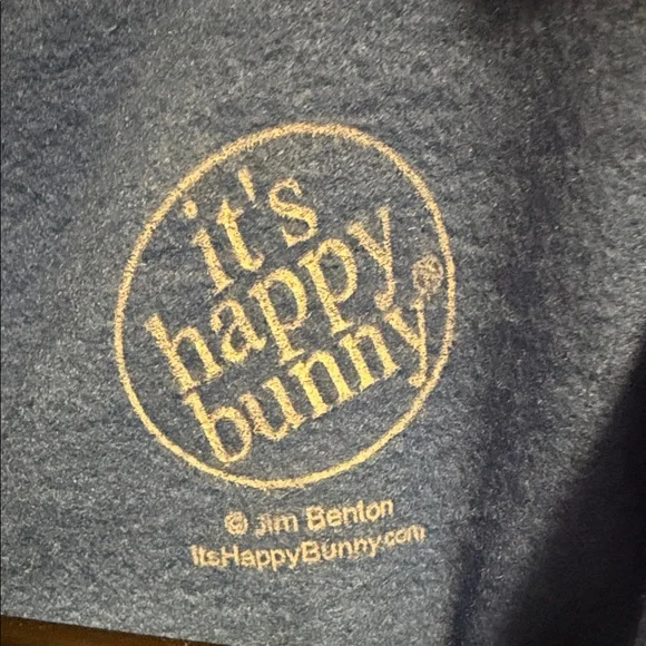 Happy Bunny Blue Graphic Hoodie "no really I'm fine. - Picture 2 of 4